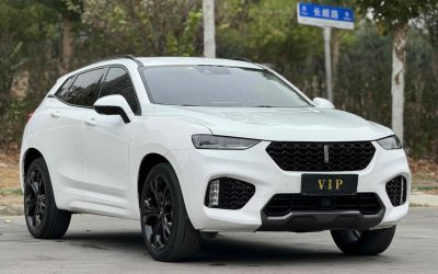Toyota Toyota Levin в цвете и кузовом – это идеальный выбор среди китайских автомобилей. Доступная цена и надежность гарантированы.