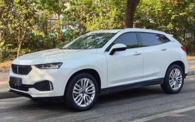 Toyota Toyota Levin в цвете и кузовом – это идеальный выбор среди китайских автомобилей. Доступная цена и надежность гарантированы.