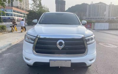 Great Wall Great Wall Wingle 7 в цвете и кузовом – это идеальный выбор среди китайских автомобилей. Доступная цена и надежность гарантированы.
