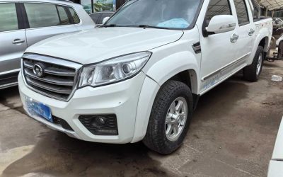 Great Wall Great Wall Wingle 7 в цвете и кузовом – это идеальный выбор среди китайских автомобилей. Доступная цена и надежность гарантированы.