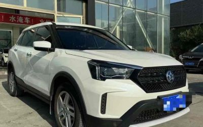 Audi Audi A8 в цвете и кузовом – это идеальный выбор среди китайских автомобилей. Доступная цена и надежность гарантированы.