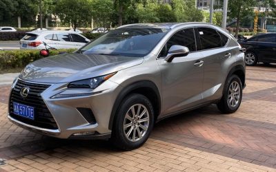 NIO NIO ES7 в цвете и кузовом – это идеальный выбор среди китайских автомобилей. Доступная цена и надежность гарантированы.