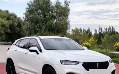 Toyota Toyota Levin в цвете и кузовом – это идеальный выбор среди китайских автомобилей. Доступная цена и надежность гарантированы.