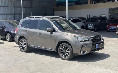NIO NIO ES7 в цвете и кузовом – это идеальный выбор среди китайских автомобилей. Доступная цена и надежность гарантированы.