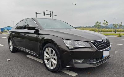Audi Audi A8 в цвете и кузовом – это идеальный выбор среди китайских автомобилей. Доступная цена и надежность гарантированы.