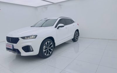 Toyota Toyota Levin в цвете и кузовом – это идеальный выбор среди китайских автомобилей. Доступная цена и надежность гарантированы.
