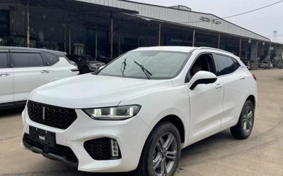 Toyota Toyota Levin в цвете и кузовом – это идеальный выбор среди китайских автомобилей. Доступная цена и надежность гарантированы.