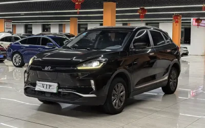 WM Motor WM Motor в цвете WM Motor и кузовом WM Motor – это идеальный выбор среди китайских автомобилей. Доступная цена и надежность гарантированы.
