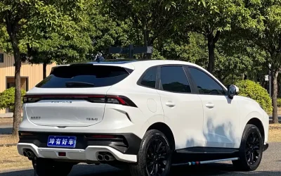 Audi Audi A8 в цвете и кузовом – это идеальный выбор среди китайских автомобилей. Доступная цена и надежность гарантированы.