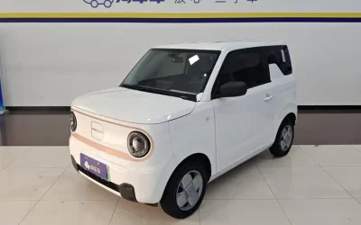 Toyota Toyota Levin в цвете и кузовом – это идеальный выбор среди китайских автомобилей. Доступная цена и надежность гарантированы.