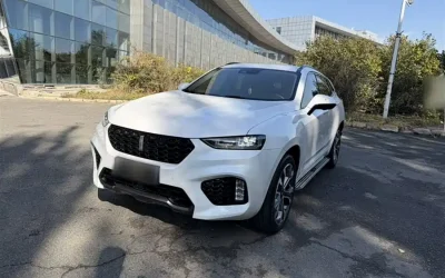 Toyota Toyota Levin в цвете и кузовом – это идеальный выбор среди китайских автомобилей. Доступная цена и надежность гарантированы.
