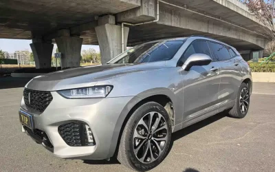 Toyota Toyota Levin в цвете и кузовом – это идеальный выбор среди китайских автомобилей. Доступная цена и надежность гарантированы.