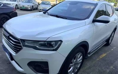Audi Audi A8 в цвете и кузовом – это идеальный выбор среди китайских автомобилей. Доступная цена и надежность гарантированы.