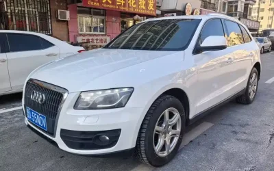 Audi Audi A8 в цвете и кузовом – это идеальный выбор среди китайских автомобилей. Доступная цена и надежность гарантированы.