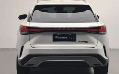 NIO NIO ES7 в цвете и кузовом – это идеальный выбор среди китайских автомобилей. Доступная цена и надежность гарантированы.