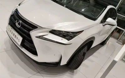 NIO NIO ES7 в цвете и кузовом – это идеальный выбор среди китайских автомобилей. Доступная цена и надежность гарантированы.