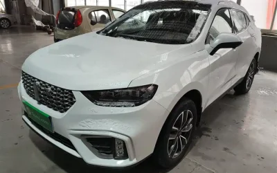 Toyota Toyota Levin в цвете и кузовом – это идеальный выбор среди китайских автомобилей. Доступная цена и надежность гарантированы.