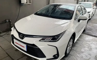 Toyota Toyota Highlander в цвете и кузовом – это идеальный выбор среди китайских автомобилей. Доступная цена и надежность гарантированы.
