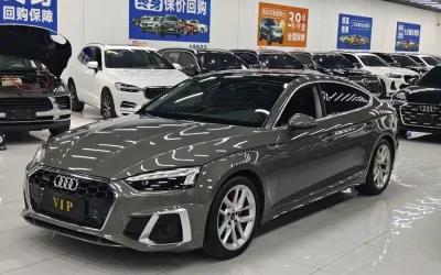 Audi Audi A8 в цвете и кузовом – это идеальный выбор среди китайских автомобилей. Доступная цена и надежность гарантированы.