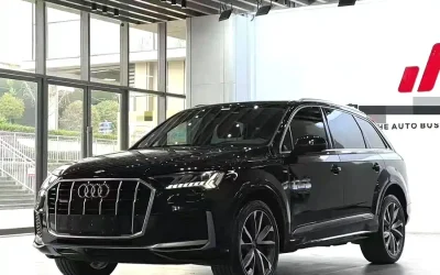 Audi Audi A8 в цвете и кузовом – это идеальный выбор среди китайских автомобилей. Доступная цена и надежность гарантированы.