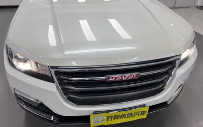 Audi Audi A8 в цвете и кузовом – это идеальный выбор среди китайских автомобилей. Доступная цена и надежность гарантированы.