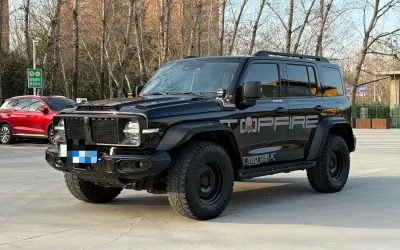 Tank Tank 700 EV в цвете и кузовом – это идеальный выбор среди китайских автомобилей. Доступная цена и надежность гарантированы.