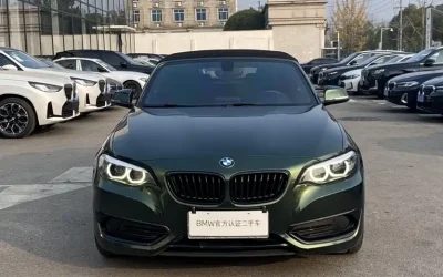 BMW BMW X6 в цвете и кузовом – это идеальный выбор среди китайских автомобилей. Доступная цена и надежность гарантированы.