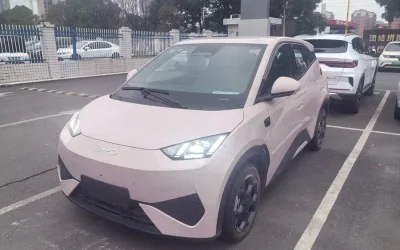 BYD BYD Song L DM-i в цвете и кузовом – это идеальный выбор среди китайских автомобилей. Доступная цена и надежность гарантированы.