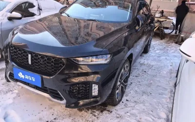 Toyota Toyota Levin в цвете и кузовом – это идеальный выбор среди китайских автомобилей. Доступная цена и надежность гарантированы.