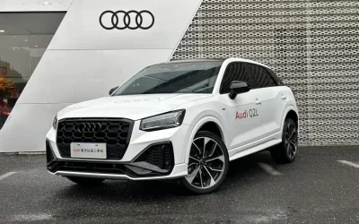 Audi Audi A8 в цвете и кузовом – это идеальный выбор среди китайских автомобилей. Доступная цена и надежность гарантированы.