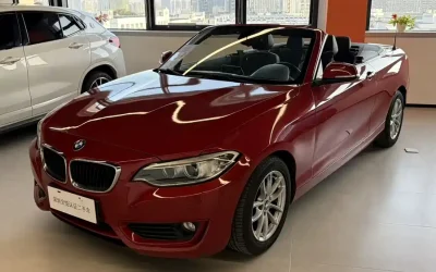 BMW BMW X6 в цвете и кузовом – это идеальный выбор среди китайских автомобилей. Доступная цена и надежность гарантированы.