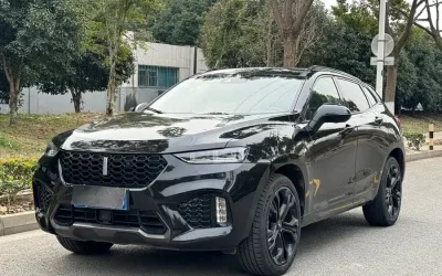 Toyota Toyota Levin в цвете и кузовом – это идеальный выбор среди китайских автомобилей. Доступная цена и надежность гарантированы.