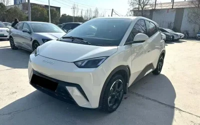 BYD BYD Song L DM-i в цвете и кузовом – это идеальный выбор среди китайских автомобилей. Доступная цена и надежность гарантированы.