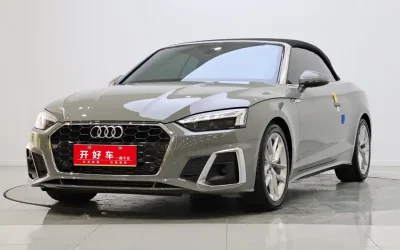 Audi Audi A8 в цвете и кузовом – это идеальный выбор среди китайских автомобилей. Доступная цена и надежность гарантированы.