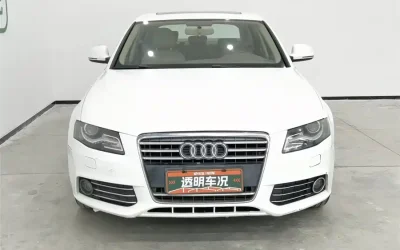 Audi Audi A8 в цвете и кузовом – это идеальный выбор среди китайских автомобилей. Доступная цена и надежность гарантированы.
