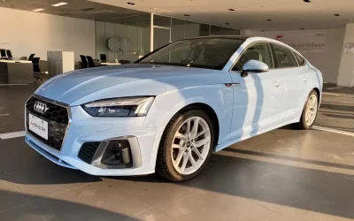 Audi Audi A8 в цвете и кузовом – это идеальный выбор среди китайских автомобилей. Доступная цена и надежность гарантированы.