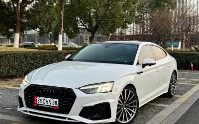 Audi Audi в цвете Audi и кузовом Audi – это идеальный выбор среди китайских автомобилей. Доступная цена и надежность гарантированы.
