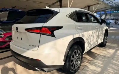 NIO NIO ES7 в цвете и кузовом – это идеальный выбор среди китайских автомобилей. Доступная цена и надежность гарантированы.