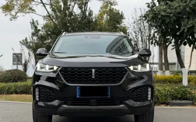 Toyota Toyota Levin в цвете и кузовом – это идеальный выбор среди китайских автомобилей. Доступная цена и надежность гарантированы.