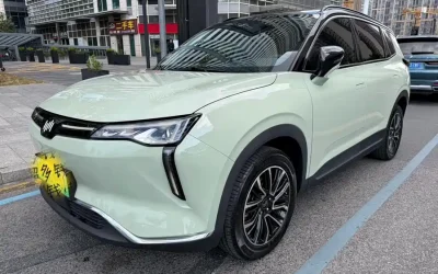 WM Motor WM Motor в цвете WM Motor и кузовом WM Motor – это идеальный выбор среди китайских автомобилей. Доступная цена и надежность гарантированы.