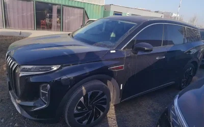 r1071816-hongqi-hs7-phev-2024_image_010