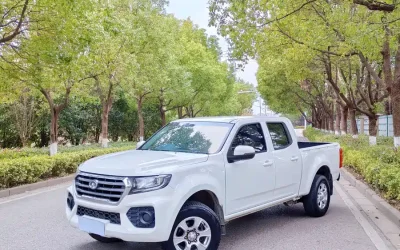 Great Wall Great Wall Wingle 7 в цвете и кузовом – это идеальный выбор среди китайских автомобилей. Доступная цена и надежность гарантированы.