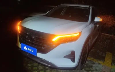 GAC Trumpchi Trumpchi M8 в цвете и кузовом – это идеальный выбор среди китайских автомобилей. Доступная цена и надежность гарантированы.