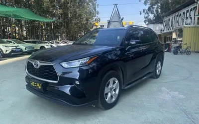 Toyota Toyota Wildlander в цвете и кузовом – это идеальный выбор среди китайских автомобилей. Доступная цена и надежность гарантированы.