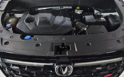 Buick Buick GL8 в цвете и кузовом – это идеальный выбор среди китайских автомобилей. Доступная цена и надежность гарантированы.
