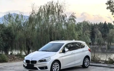 BMW BMW X1 в цвете и кузовом – это идеальный выбор среди китайских автомобилей. Доступная цена и надежность гарантированы.