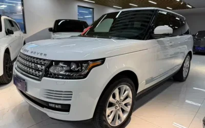 Land Rover Land Rover Discovery Sport в цвете и кузовом – это идеальный выбор среди китайских автомобилей. Доступная цена и надежность гарантированы.