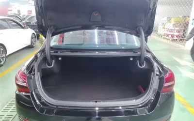 Hongqi Hongqi H5 в цвете и кузовом – это идеальный выбор среди китайских автомобилей. Доступная цена и надежность гарантированы.