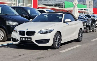 BMW BMW 1 Series в цвете и кузовом – это идеальный выбор среди китайских автомобилей. Доступная цена и надежность гарантированы.