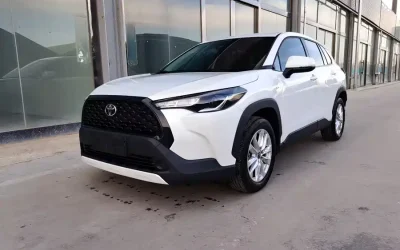 Toyota Toyota Vios в цвете и кузовом – это идеальный выбор среди китайских автомобилей. Доступная цена и надежность гарантированы.